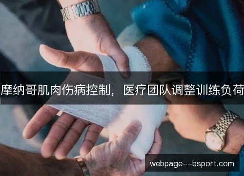 摩纳哥肌肉伤病控制,医疗团队调整训练负荷 摩纳哥肌肉伤病控制,医疗团队调整训练负荷