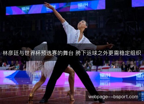 林彦廷与世界杯预选赛的舞台 胯下运球之外更需稳定组织 林彦廷与世界杯预选赛的舞台 胯下运球之外更需稳定组织
